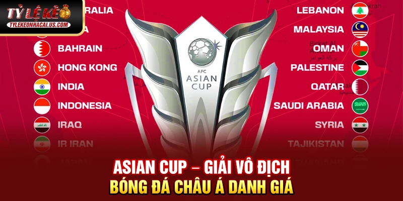 Asian Cup - Giải Đấu Vô Địch Bóng Đá Châu Á Đỉnh Cao 35 Asian Cup – Giải vô địch bóng đá châu Á danh giá