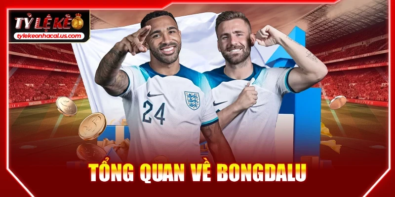 Bongdalu - Trực Tiếp Kết Quả Bóng Đá Hôm Nay | Tỷ Số Bóng Đá 1 Tổng quan về bongdalu